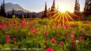 Таня неожиданно зашла к мужу в офис и услышала голос подруги из его кабинета. И заглянув внутрь...