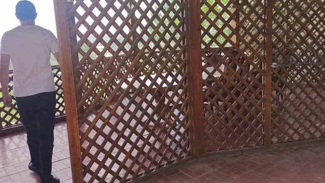 чайхана город Асака Узбекистан андижанская область, отличный вид вкусный плов смотреть онлайн