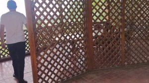 чайхана город Асака Узбекистан андижанская область, отличный вид вкусный плов