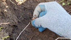 Коп в полях у Москва реки #коп #камрад #империя