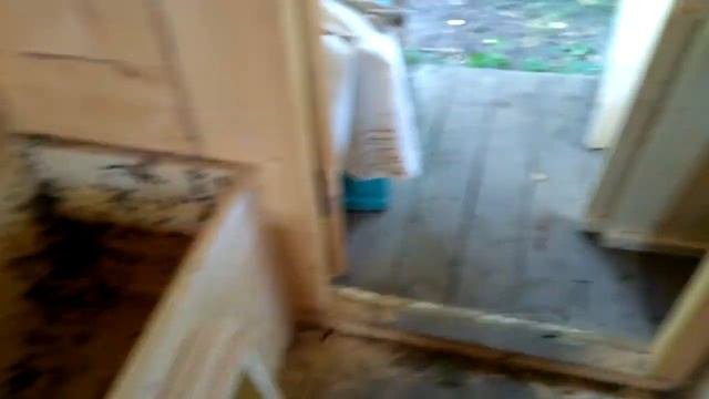 Работа на пасеке. Апидомик 3 отводка в одном улье, один трутовочный получился