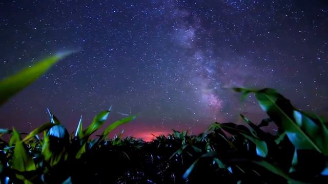 Chris Wonderful With You Forever Chill Set I смотреть онлайн