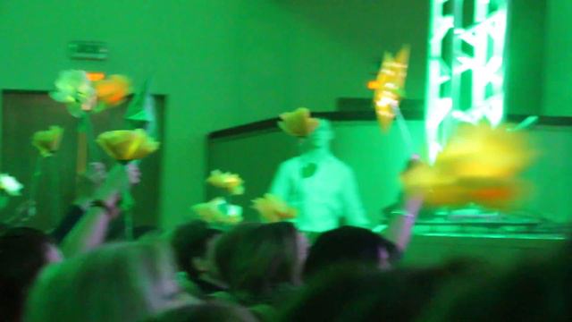 Цветы и звезды. Cурганова и Оркестр. Ярославль. 25.02.17. MVI 4613 смотреть онлайн