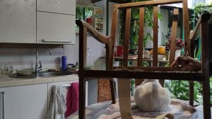 Реставрация старого кресла- Лигна своими руками. Мой первый опыт.