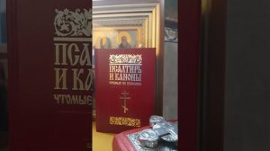 Псалтирь на церковно-славянском языке. Кафисма 17,  Псалом 118.