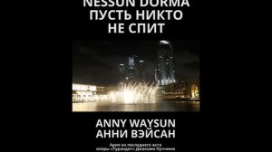 Салют Нессун Дорма! Salute Nessun Dorma! ПУСТЬ НИКТО НЕ СПИТ. Исполняет: Анни Вэйсан.