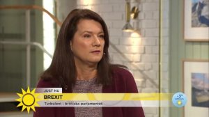 Ann Linde om brexitavtalet: Fortfarande oklart vilken relation man ska ha - Nyhetsmorgon (TV4)