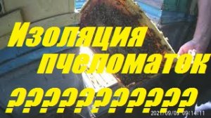 Продаю пчел.Изоляция пчеломаток,сроки замены.2 обработка Акарапидоза,Варроатоза пчел.