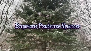 С Рождеством Христовым!