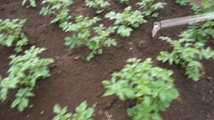 ОНЛАЙНТРЕЙД РУ Тяпка облегчённая Fiskars 1019609