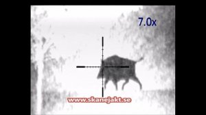 Pulsar Digisight N970 LRF