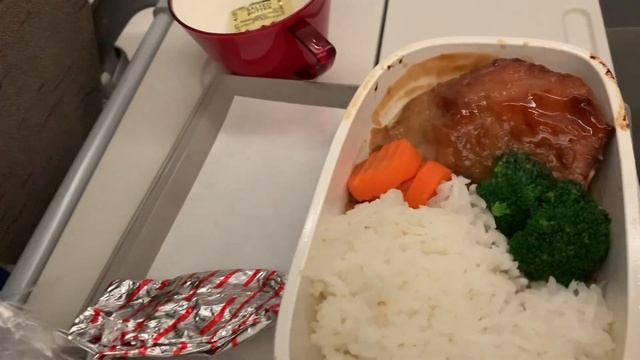 dinner time on OZ 211 sfo to icn March 2, 2023…too tired and ready to go to bed… смотреть онлайн