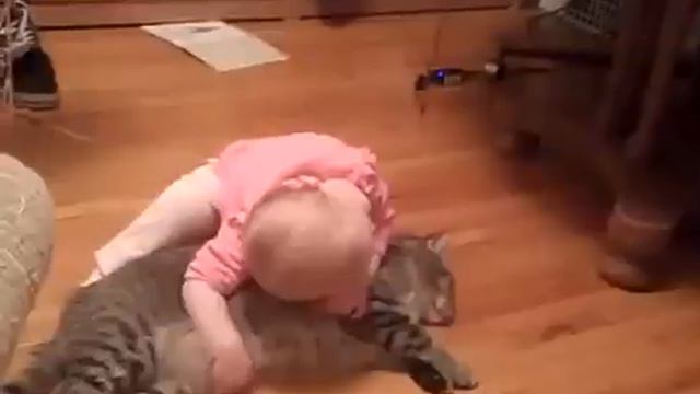 Самый спокойный кот в мире, ребенок делает с ним что хочет ПРИКОЛ смотреть онлайн