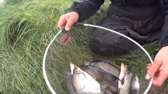 ЗНАЯ ЭТО ВСЕГДА КЛЮЁТ. КАК ЛОВИТЬ МНОГО РЫБЫ КРУГЛЫЙ ГОД. смотреть онлайн