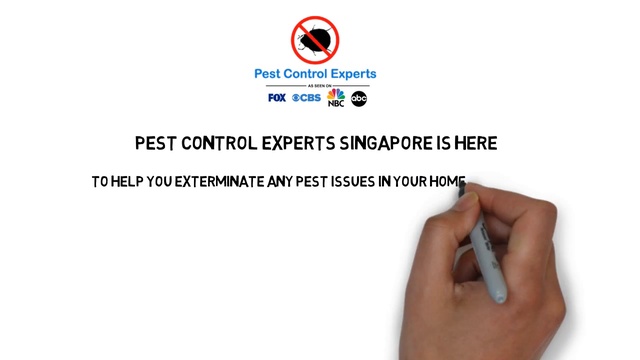Pest Control Singapore by Pest Control Experts