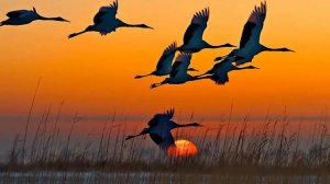 Татьяна Рудакова Мой сентябрь