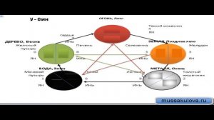 Что такое У Син