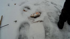 РЕКА ДОН! Зимняя рыбалка!