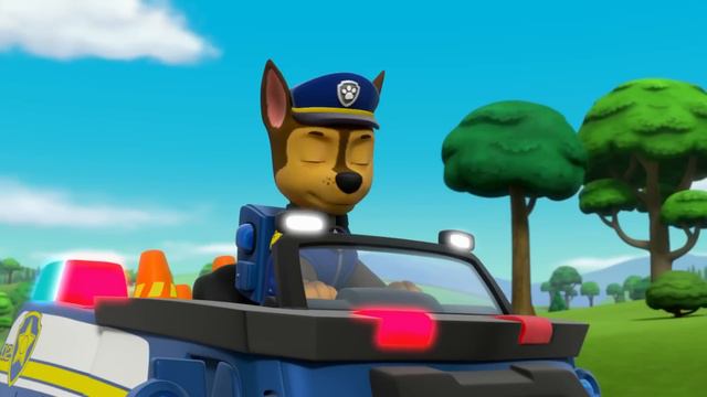 PAW Patrol Rocket Rollerskate and Skateboard Rescue! | PAW Patrol | Cartoons for Kids Compilation