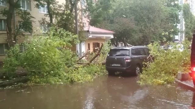 Упавшее дерево повредило автомобили и оборвало провода Одесса, Тенистая смотреть онлайн
