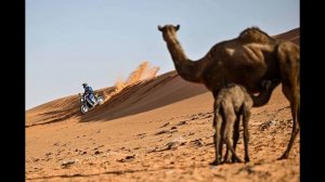 Дакар 2022 | Мотоциклы | Тоби Прайс Выиграл на 10-м Этапе Dakar | 12.01.22