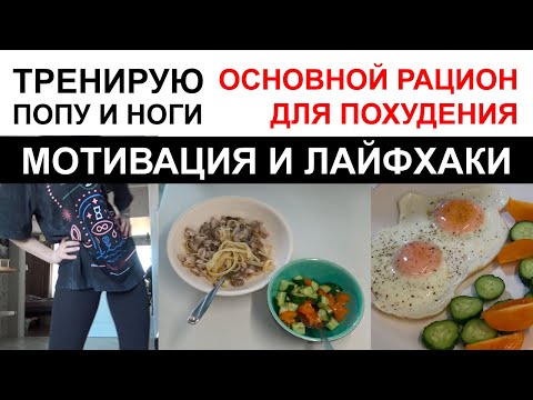 ПОЕХАЛИ! БЕРЕМ СЕБЯ В РУКИ ? МОТИВАЦИЯ / ТРЕНИРОВКА "ГОРИ ПОПА" ? ПИТАНИЕ ДЛЯ ПОХУДЕНИЯ / ПП ЗАВТР смотреть онлайн