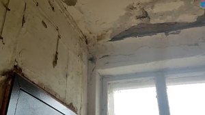 Жизнь среди грибка, крыс и тараканов. Аварийный дом в Самаре