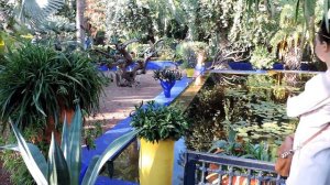 Part 4. Марокко, Марракеш, Прогулка по саду Мажорель