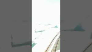 Байда каспий #бракаш