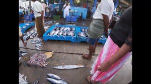 Рыбный рынок в Хиккадуве