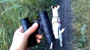 Распаковка и обзор бинокля Bresser Hunter 10x25