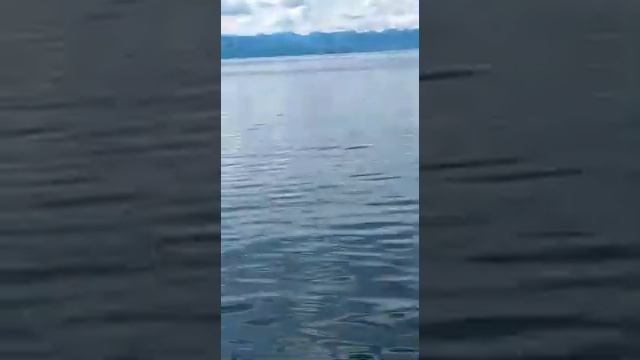 Петропавловск-Камчатский – форпост России на Камчатском полуострове, город с уникальной историей .