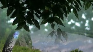 Валерий Заведяев ' В моей душе давно настала осень''  Монтаж Любови Соколовой