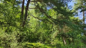 Дагестан, Гуниб, орлиное гнездо