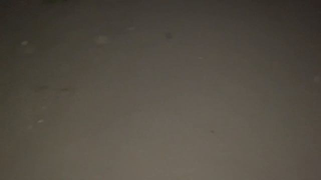 Моя заброшенная дача. Дачные будни. Шашлыки. Квашу капусту. Сажаю клубнику. Крашу потолок. #дача смотреть онлайн