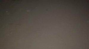 Моя заброшенная дача. Дачные будни. Шашлыки. Квашу капусту. Сажаю клубнику. Крашу потолок. #дача