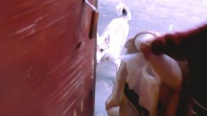 ✈VLOG: ЛЕТИМ В ТУРЦИЮ! Первый полёт в жизни! Часть 1