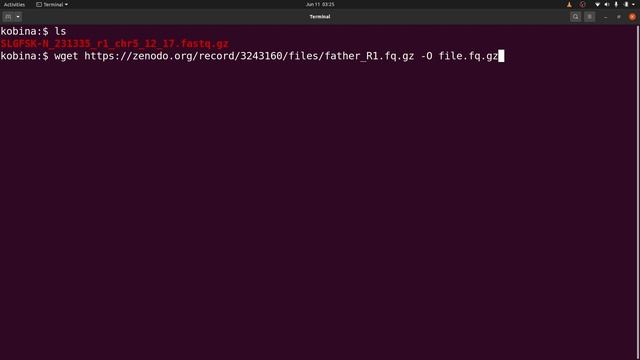 Linux Tutorial for Beginners | How to Download Files using wget
