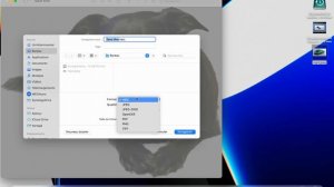 Enlever le fond dune image gratuitement dans MacOS