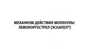 Как действует  ПОСТИНОР/ЭСКАПЕЛ?