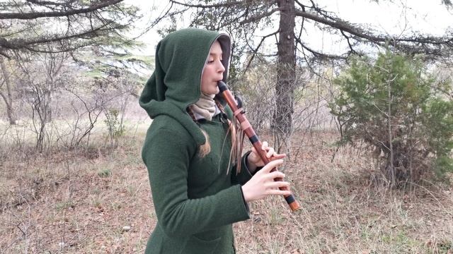 Флейта пимак - Maliseet Love Song смотреть онлайн