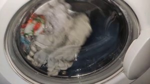 2 стирки в 1 видео/ indesit wiun 102