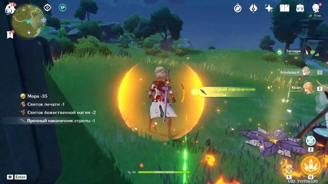 Genshin Impact Тигнари и Альбедо идут к Храму тысячи ветров смотреть онлайн