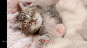 ✨?✨ Прекрасных снов! сладких снов спокойной ночи! сладких снов тебе! нежных снов!