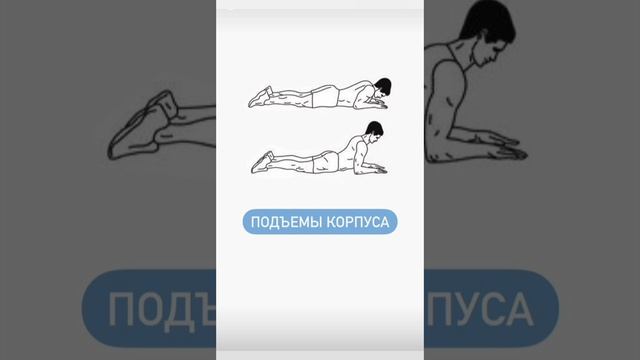 5 Лучших упражнений для спины смотреть онлайн