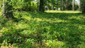 УЧАСТОК НА ПРОДАЖУ В ХОРОШЕМ РАЙОНЕ. СЕВЕРНАЯ КАРОЛИНА