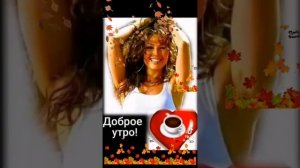Осень безрассудная моя