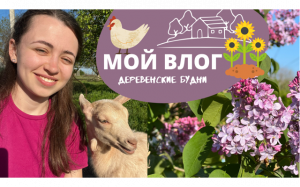 МОЙ ВЛОГ - деревенские будни