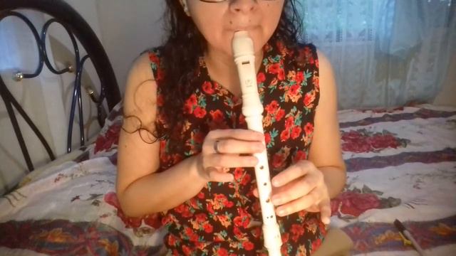 BLACKPINK DDU-DU-DDU-DU - flauta dulce смотреть онлайн