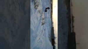 Самодельная мотособака с центробежным сцеплением